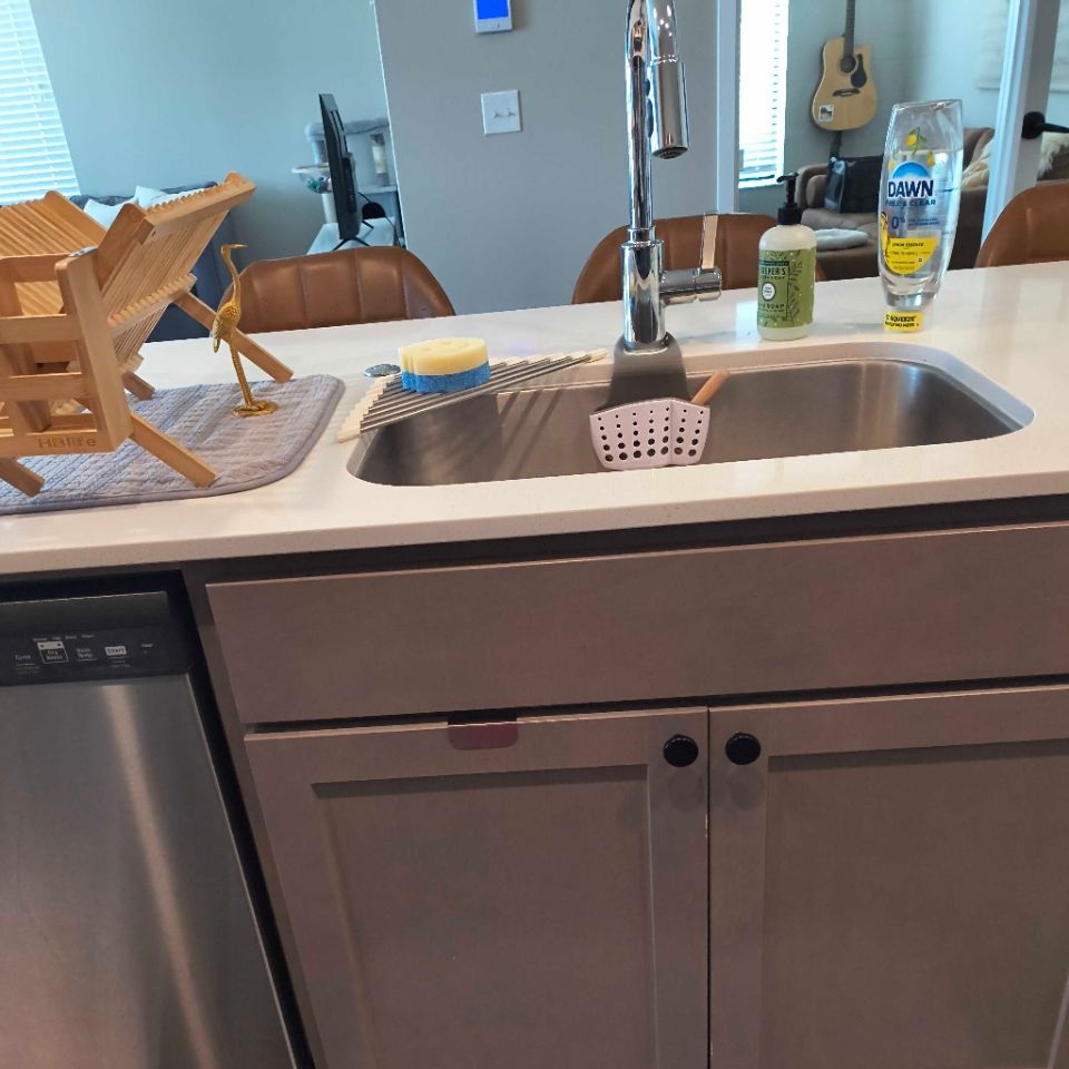 move out cleaning team at work